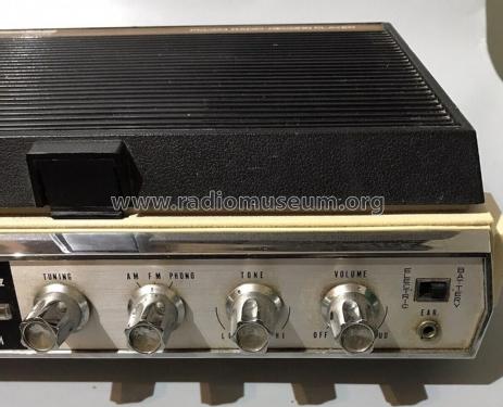 FM/AM Radio-Record Player RP620; Prinzsound brand (ID = 2844399) Radio