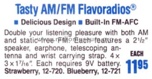 Realistic Flavoradio 12-721; Radio Shack Tandy, (ID = 1768622) Radio