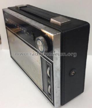 Globetrotter RZG133E; RCA RCA Victor Co. (ID = 2260485) Radio