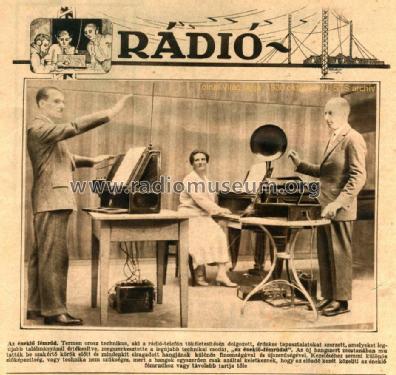 Theremin ; RCA RCA Victor Co. (ID = 2532143) Musikinstrumente