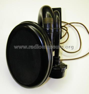 Westinghouse Vocarola Model LV; RCA RCA Victor Co. (ID = 2011671) Speaker-P