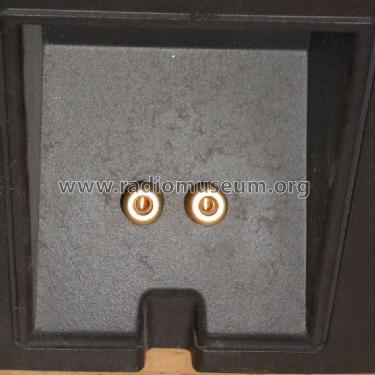 Monitor 8; RCF; Reggio Emilia (ID = 1316179) Speaker-P