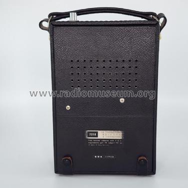 Thirteen Transistor FM-AM Capri 2318 ; Realtone Electronics (ID = 2976971) Radio