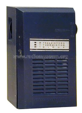 Truetone DC-3608; Western Auto Supply (ID = 1450808) Radio