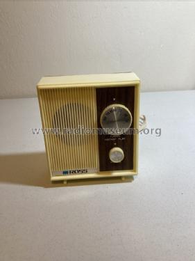 Instant Play 5666; Ross Electronics (ID = 2709634) Radio