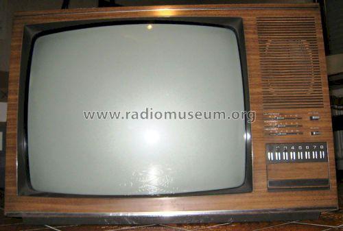 Schauinsland Telecomputer T 244; SABA; Villingen (ID = 1113533) Television