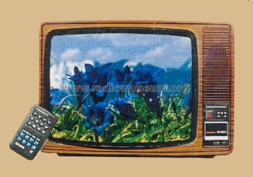 Ultracolor T 6759 telecommander; SABA; Villingen (ID = 1767195) Television