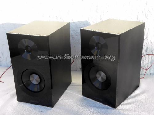 PS-C 330 ; Samsung Co.; Daegu (ID = 2063318) Speaker-P