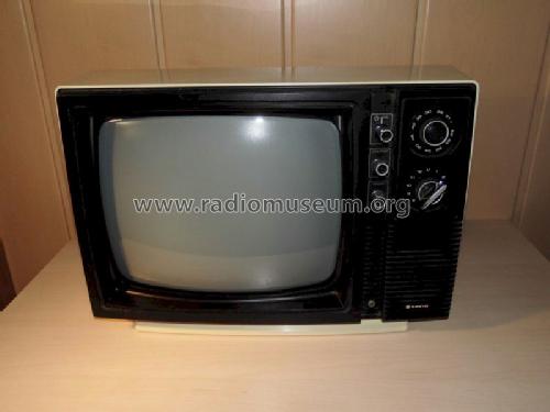 12-T260U1; Sanyo Electric Co. (ID = 1586134) Television