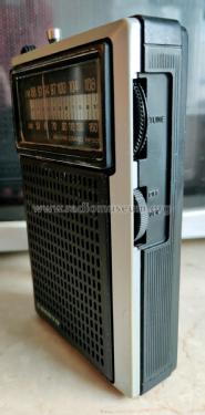 AM/FM 2-Band Portable RP5055; Sanyo Electric Co. (ID = 2884112) Radio