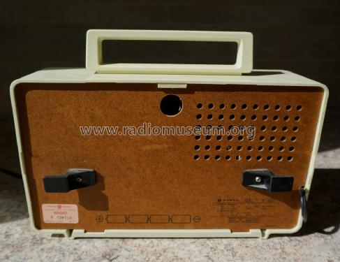 Big Power RL-1005PF; Sanyo Electric Co. (ID = 3094999) Radio