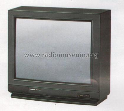 CEP-2161; Sanyo Electric Co. (ID = 2058788) Television