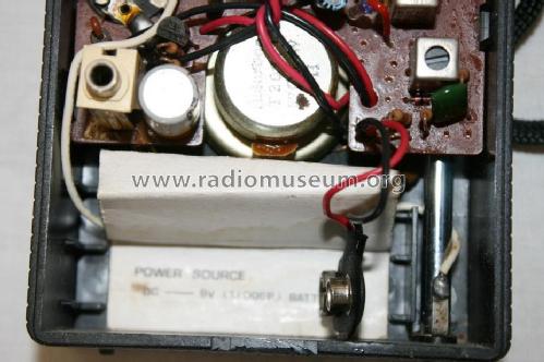 Portable FM/AM Radio RP5050; Sanyo Electric Co. (ID = 1404624) Radio