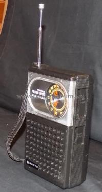 Portable FM/AM Radio RP 5040 AZ; Sanyo Electric Co. (ID = 1854240) Radio