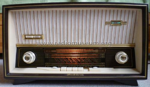 Goldy 250 27010; Schaub und Schaub- (ID = 1697177) Radio
