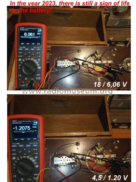 Electro-galvanischer Apparat Galvasano IV ; Schuler, Xaver; (ID = 2948972) Medicine