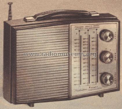 Silvertone 3228 Ch= 528.54113 Order=57H 3228; Sears, Roebuck & Co. (ID = 1650948) Radio