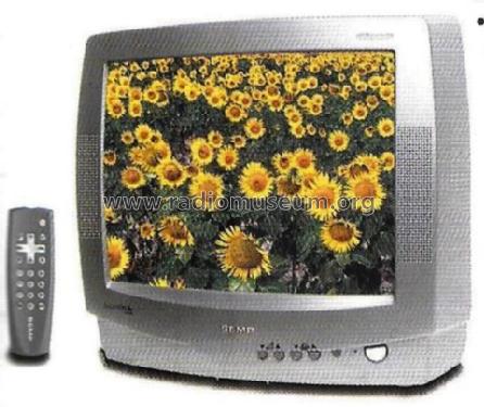 1484FAV; SEMP -TCL, Toshiba, (ID = 2692430) Television