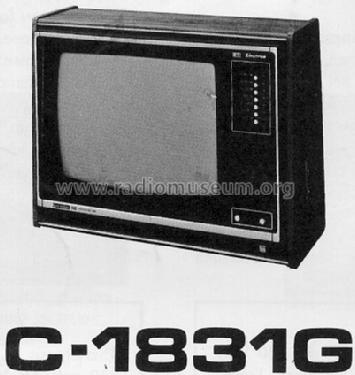 Linytron Colour Television C-1831G; Sharp; Osaka (ID = 447372) Television