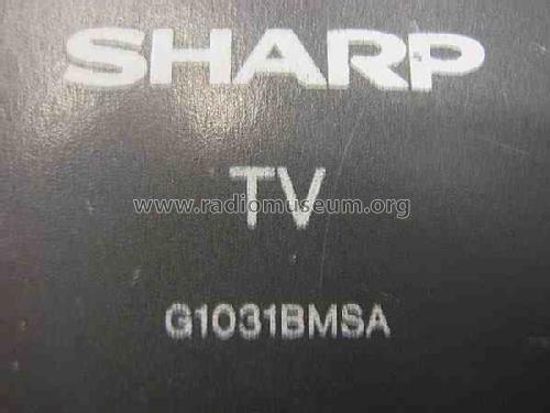 TV-Fernbedienung G1031BMSA; Sharp; Osaka (ID = 550096) Misc