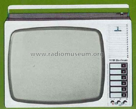 Bildmeister Electronic FK 191; Siemens & Halske, - (ID = 1338512) Television