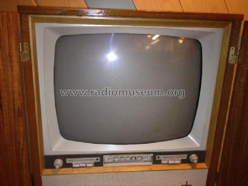 Bildmeister I FS316; Siemens & Halske, - (ID = 1130964) Television