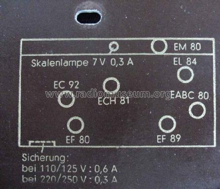 Musiktruhe T303 Ch= M858; Siemens & Halske, - (ID = 1063982) Radio