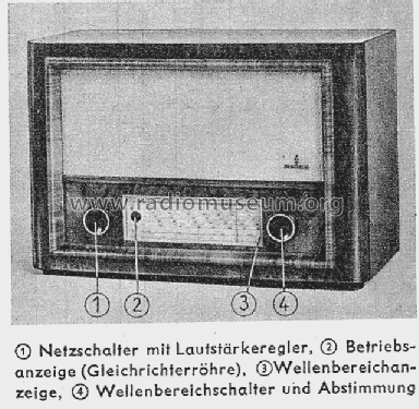 SB392GWL; Siemens & Halske, - (ID = 1017897) Radio