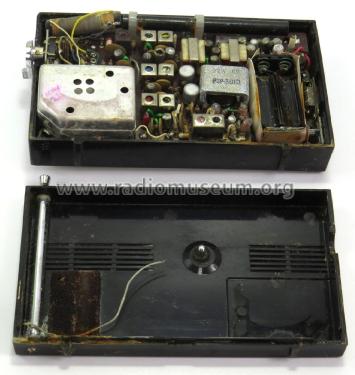 Plata AM/FM 10 Transistor 10TF-530; Silver Brand - Shin- (ID = 2970735) Radio