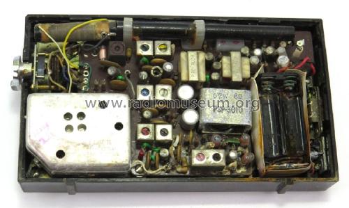 Plata AM/FM 10 Transistor 10TF-530; Silver Brand - Shin- (ID = 2970736) Radio