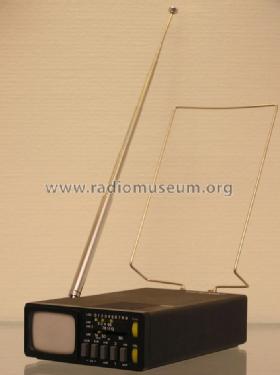 Micro Vision MTV1 MTV1A; Sinclair Radionics (ID = 675995) Television