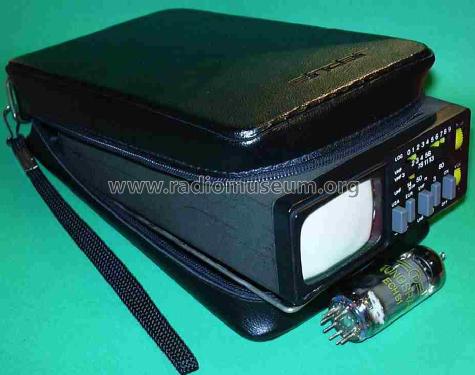 Micro Vision MTV1 MTV1A; Sinclair Radionics (ID = 1070165) Television