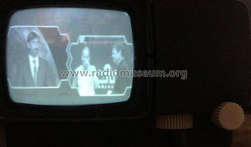 MTV1B; Sinclair Radionics (ID = 2378228) Télévision