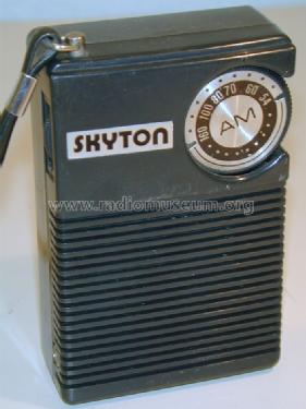 Skyton DR-812; Swing Interlectronic (ID = 738613) Radio