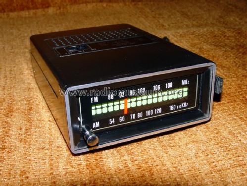 Ranger DR-2101; Skyton brand of (ID = 1381872) Radio