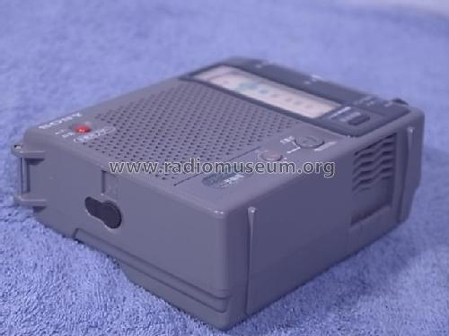 TV/FM/AM Radio ICF-B100 Radio Sony Corporation; Tokyo, build 1995