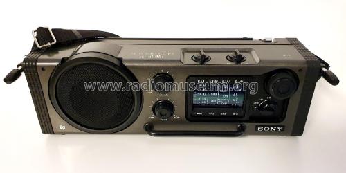 ICF-6000L; Sony Corporation; (ID = 3015043) Radio