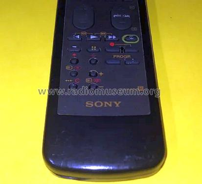 Mando a Distancia RM-841; Sony España; Hispano (ID = 3125467) Misc