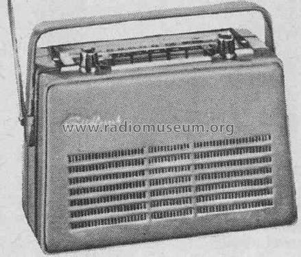 K91998; Südfunk-Apparatebau, (ID = 453781) Radio