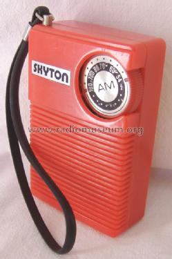 Skyton DR-512; Swing Interlectronic (ID = 1504038) Radio
