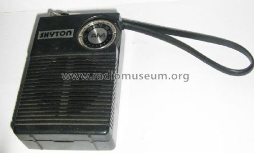 Skyton DR-812; Swing Interlectronic (ID = 2611435) Radio