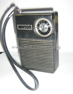 Skyton DR-812; Swing Interlectronic (ID = 2611436) Radio