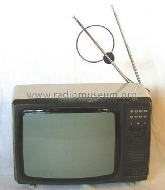 Silelis 42TC-401D; Tauras, Siauliu (ID = 173822) Television