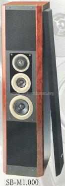 4 Way Speaker System SB-M 1.000; Technics brand (ID = 2049296) Altavoz-Au