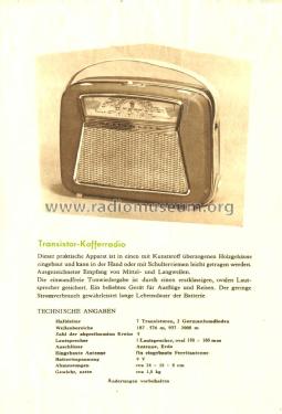 Orionette 1004 Terta 741006; Telefongyar, Terta (ID = 1721731) Radio