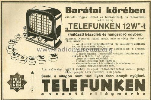 12W/ES; Telefunken (ID = 1923009) Radio