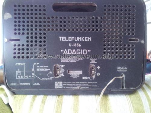 Adagio U-1836-E; Telefunken (ID = 1918471) Radio