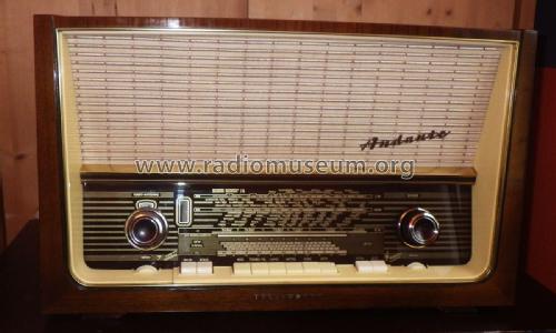 Andante 9; Telefunken (ID = 3096939) Radio