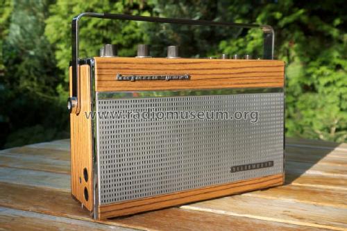 Bajazzo Sport 3591K; Telefunken (ID = 1500940) Radio