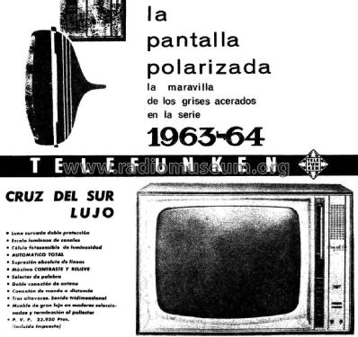 Cruz del Sur FE-124 /23 TaL; Telefunken (ID = 2497091) Television